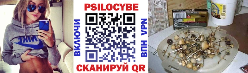 Псилоцибиновые грибы Magic Shrooms купить закладку Зеленогорск