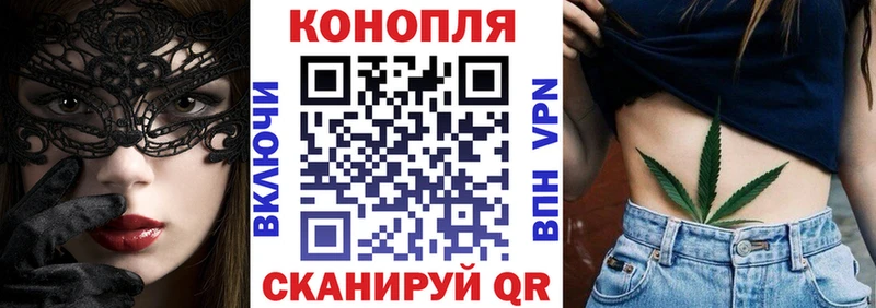 где купить наркоту  Зеленогорск  Марихуана тримм 